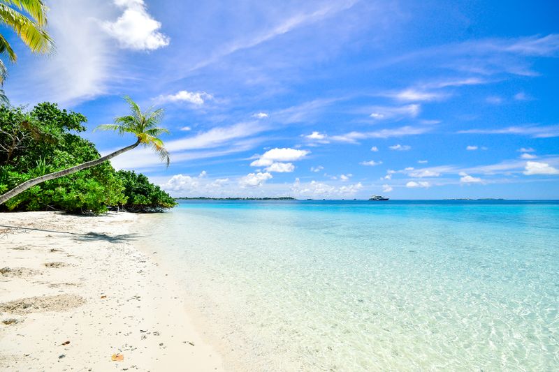 Plaża tropikalna